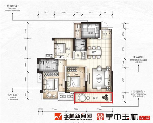 image5.jpg