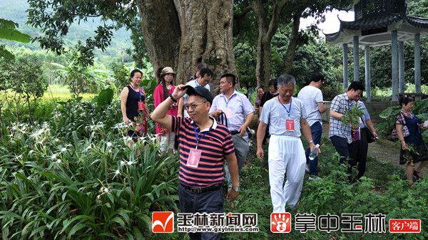 1530840170108629.jpg 在萝村采风_副本.jpg