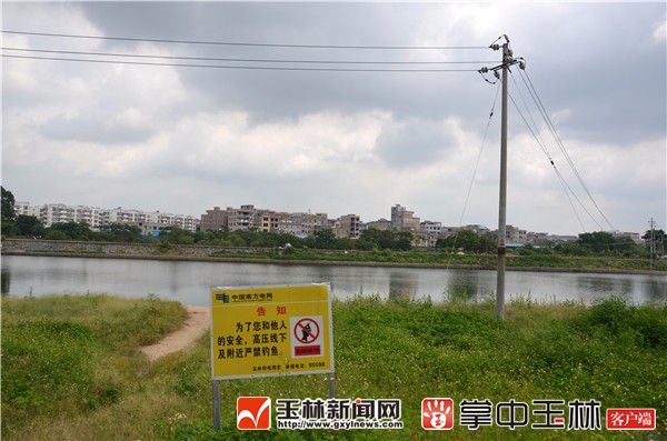 太危险!高压线下钓鱼 这些涉电危险行为要注意
