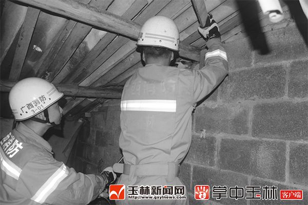 花蛇藏身公司洗漱间 吓到了员工