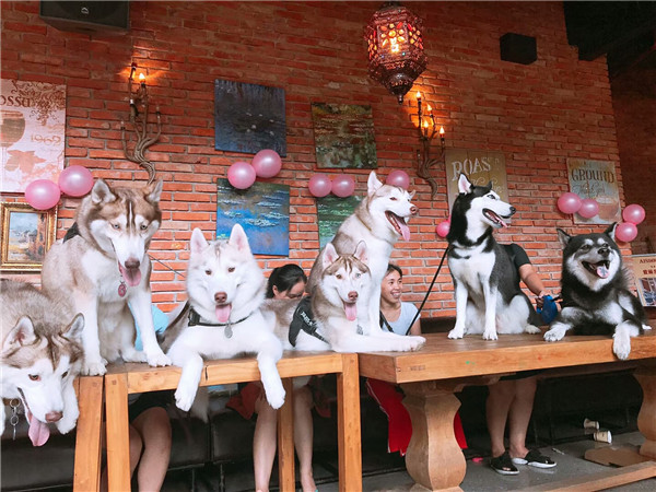 �ж������ƽ�����ȳ�ʱ�д�������