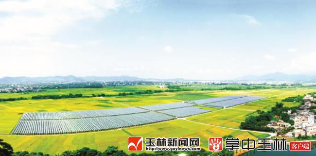 1533514999125209.jpg 微信截图_20180806082135.jpg