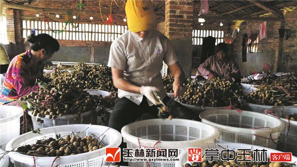 1533785578210511.jpg QQ图片20180808105009.jpg