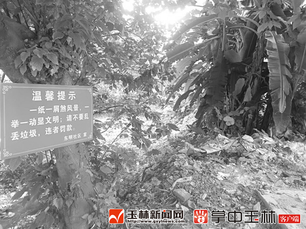 污水注入垃圾堆积,玉城这个污水塘十年“脏乱差”