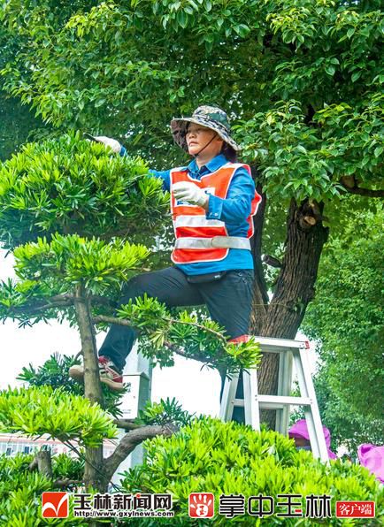 1534381837760500.jpg 微信截图_20180816090948.jpg