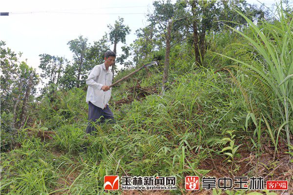 残疾人李统柱:单手劈开致富路