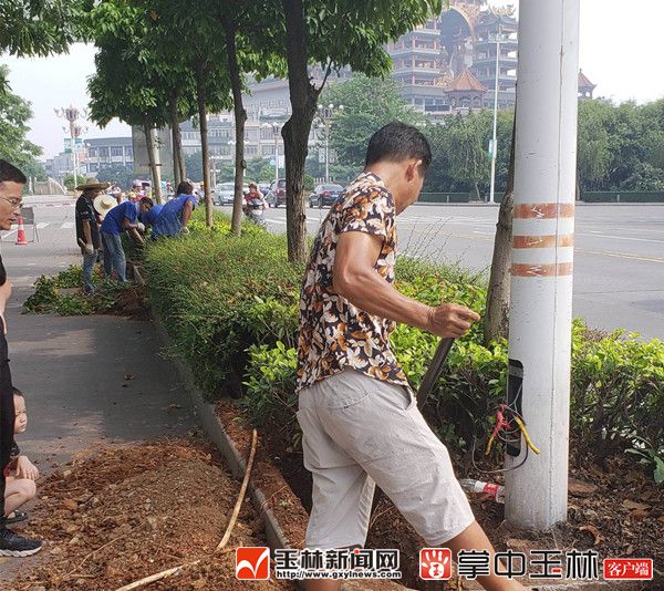 玉城江南大道路灯升级改造