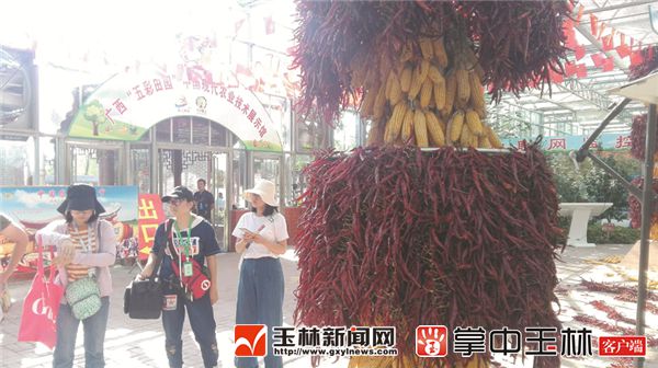 �׽조�й�ũ����սڡ� ׼����������