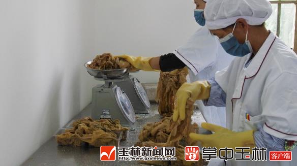 北流市民乐镇万平村:400多年历史的潮菜种植产业焕发新生机