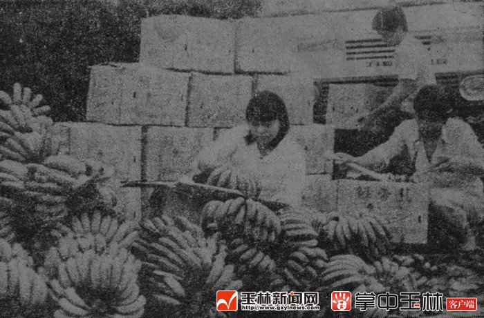 【变迁·今日】玉林,改革开放永远在路上