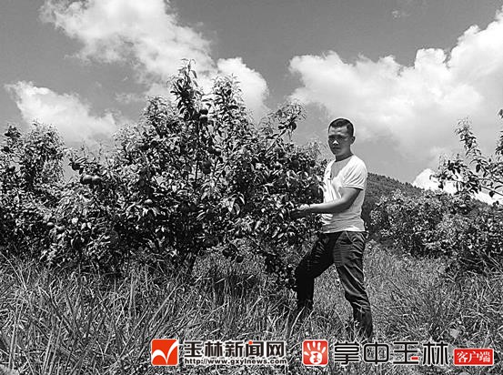 博白青年林宝辉的人生“三部曲”