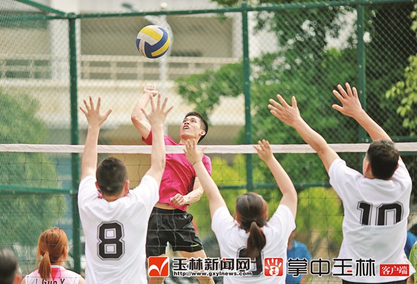 筑梦体育盛会 共享运动魅力