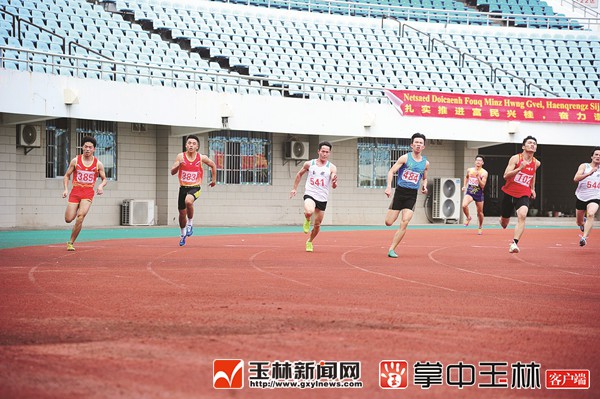市运会田径比赛收官,各代表队表现不俗