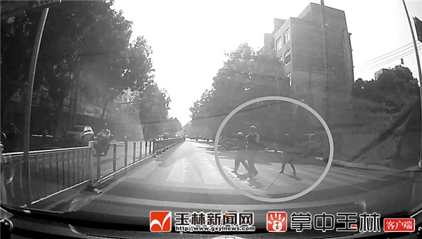 北流“礼让斑马线”蔚然成风