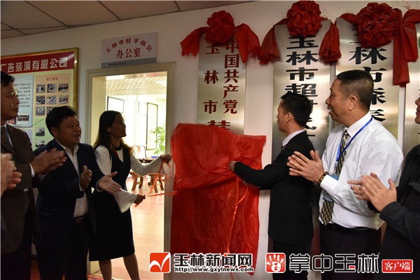 玉林市桂平商会党支部揭牌成立