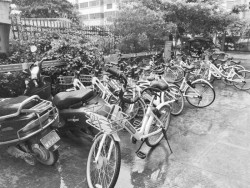 小区内共享单车占地乱停