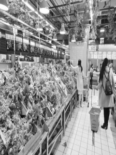 ������������ ����߲˼۸�С������