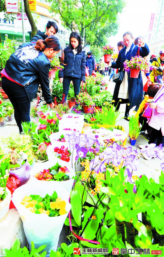 选鲜花,过新年