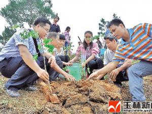千株珍贵树种送农家